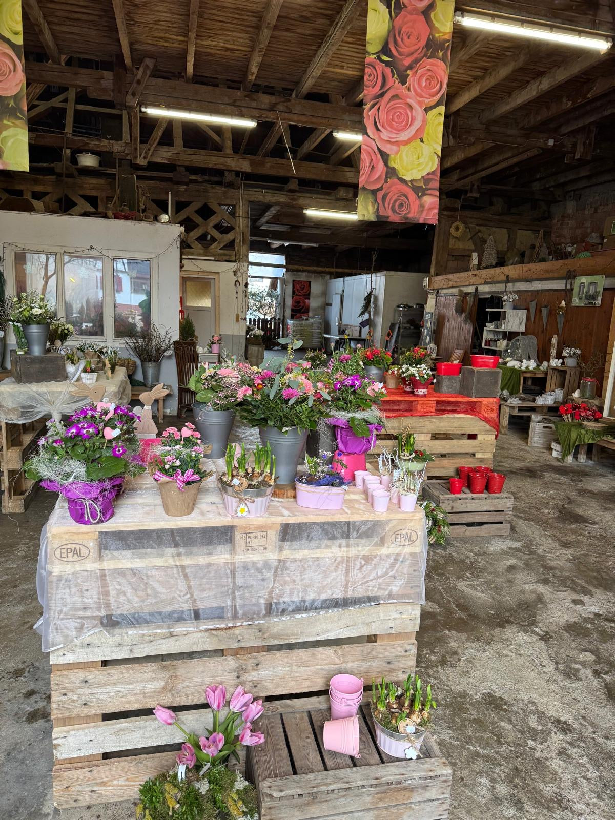 Wunderschöner, Rustikaler Blumenladen von Rosen Bähr im Herzen Friesenheim