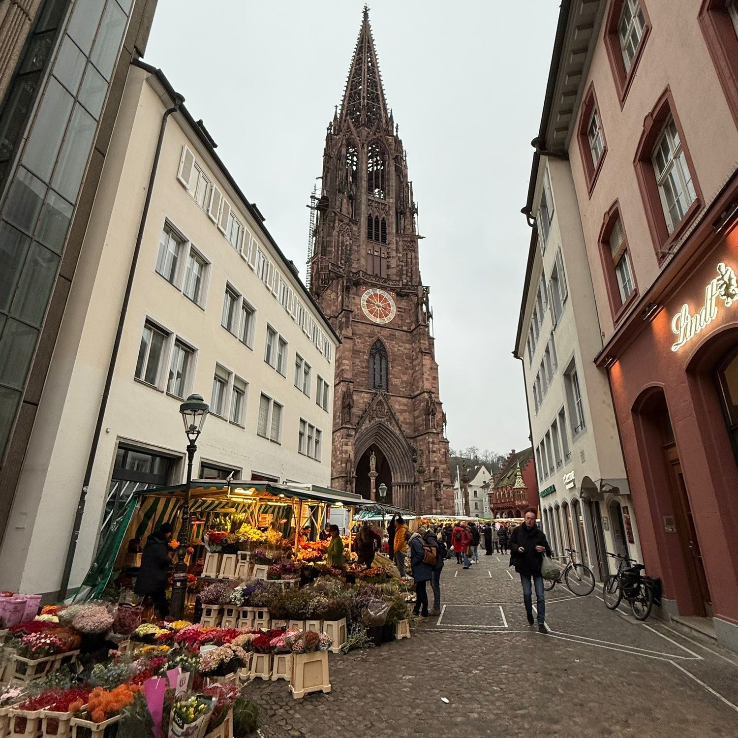Blumen Münstermarkt Freiburg Rosen Bähr