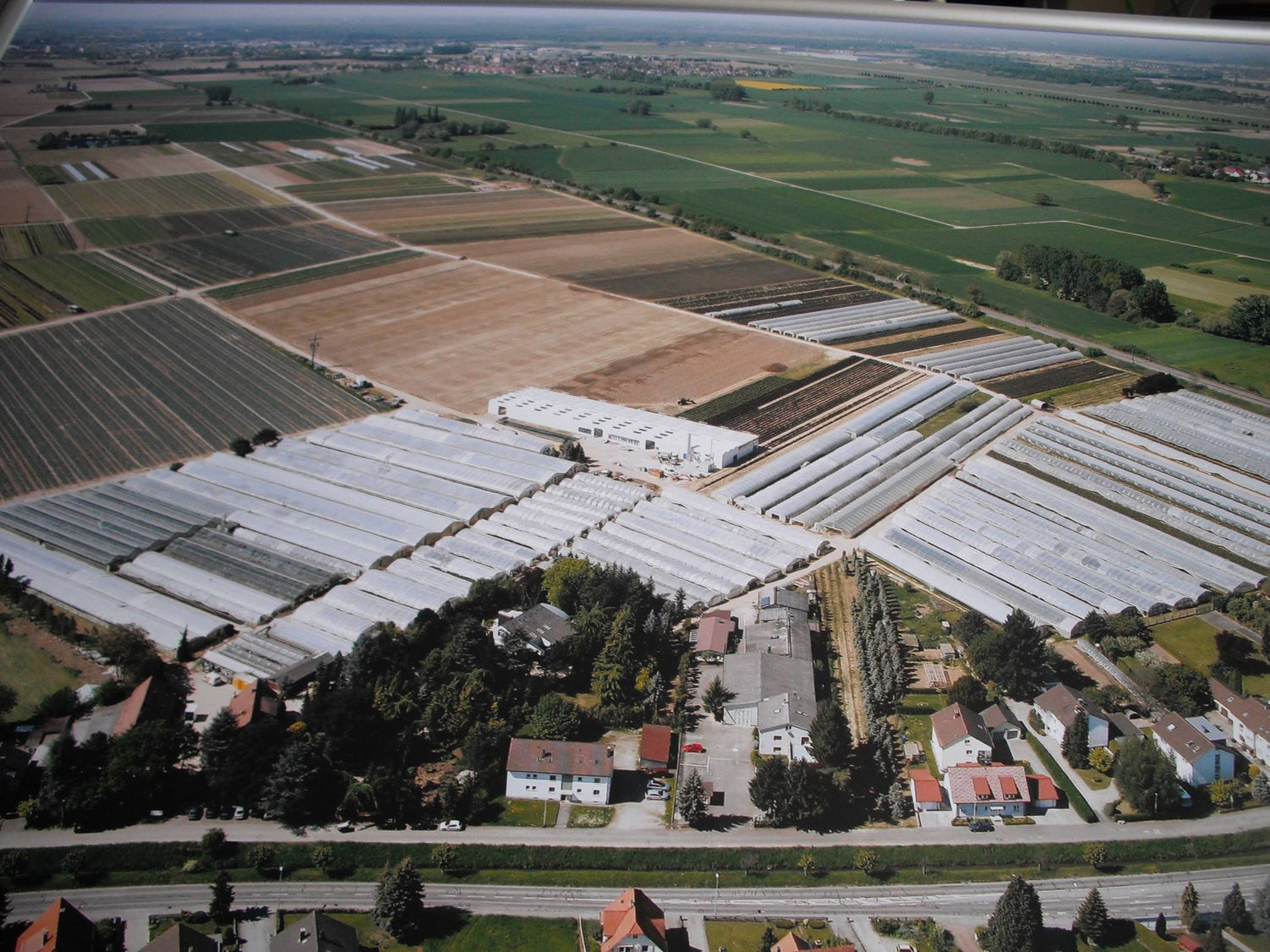 Gärtnerei Rosen Bähr Friesenheim