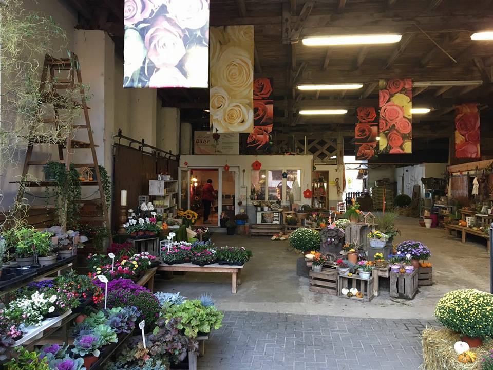 Blumenladen Friesenheim Rosen Bähr