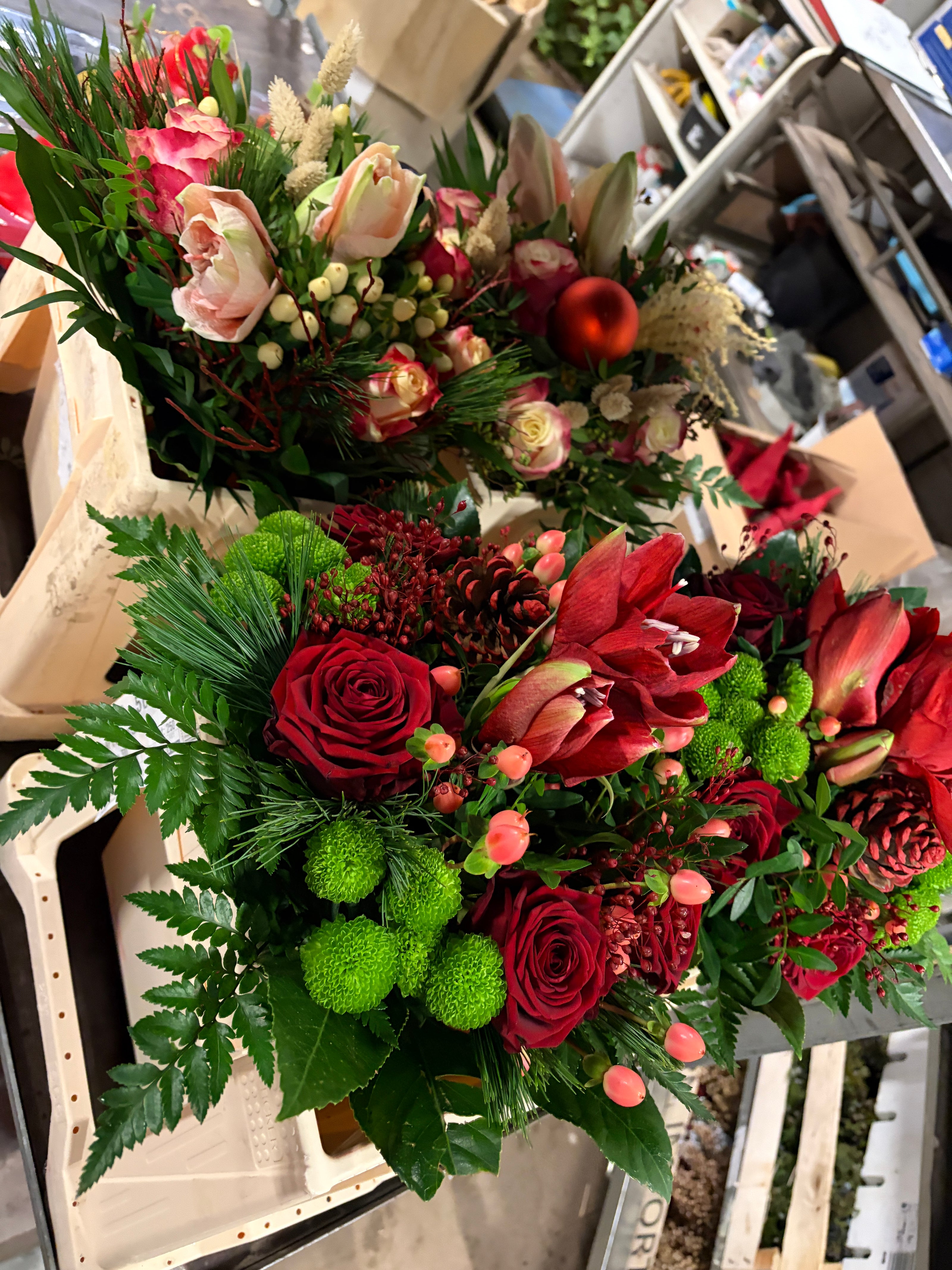 Floristik Südbaden Rosen Bähr