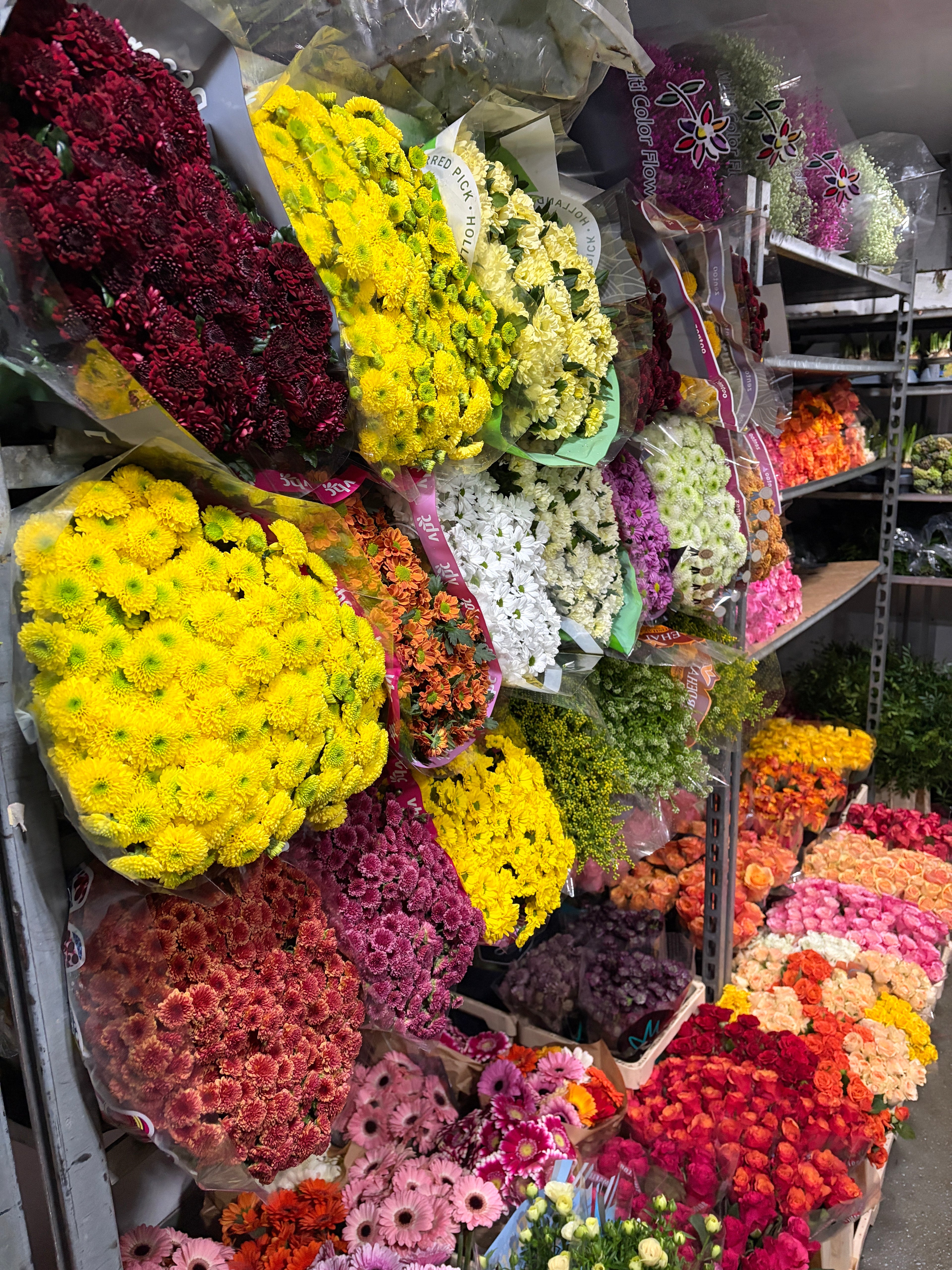 Große Auswahl an Blumen in unserem mobilen Blumenladen. Blumen für Unternehmen in Freiburg, Offenburg, Lahr, Baden-Baden, Müllheim