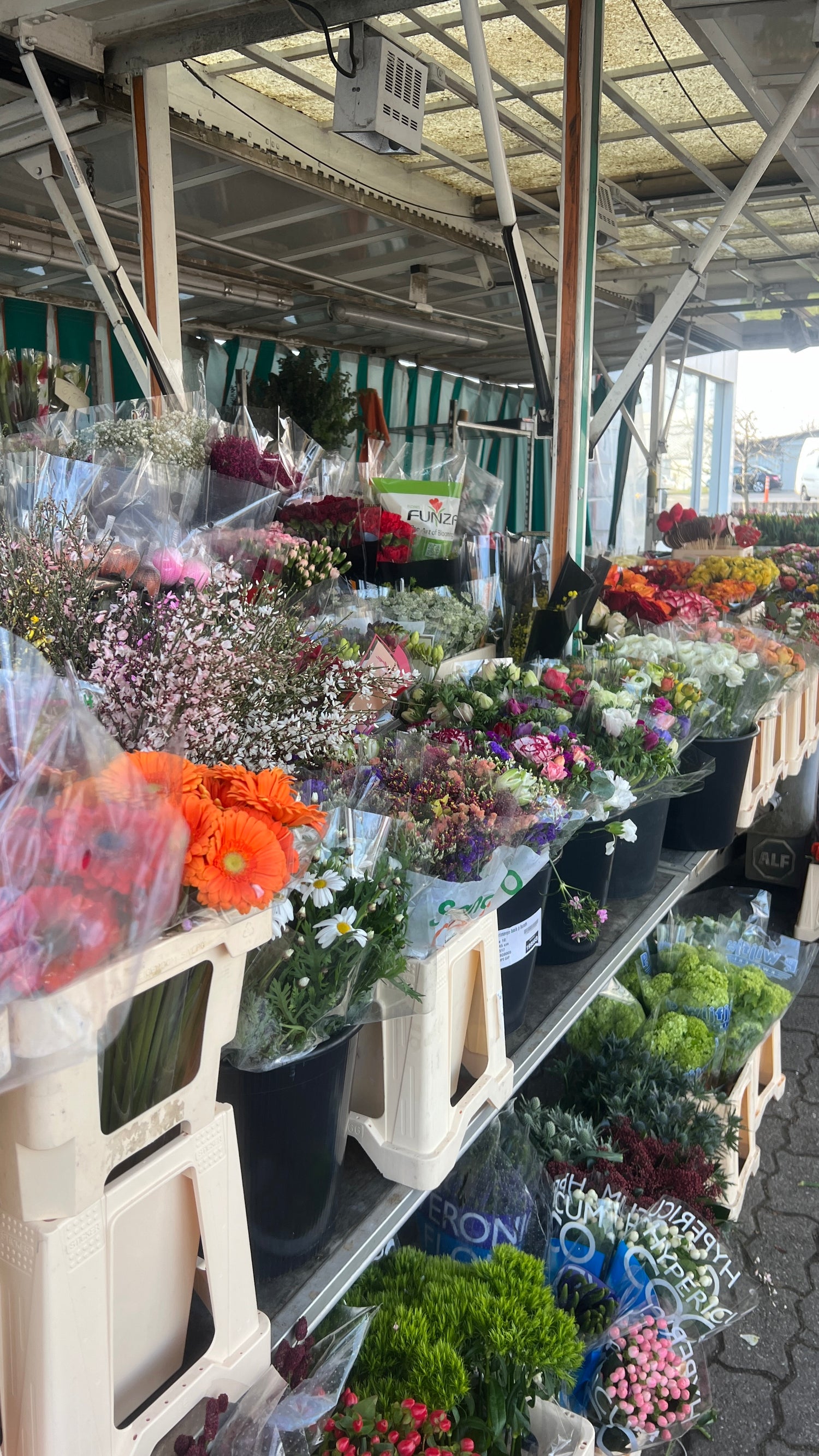 Wochenmarkt Endingen Rosen Bähr
