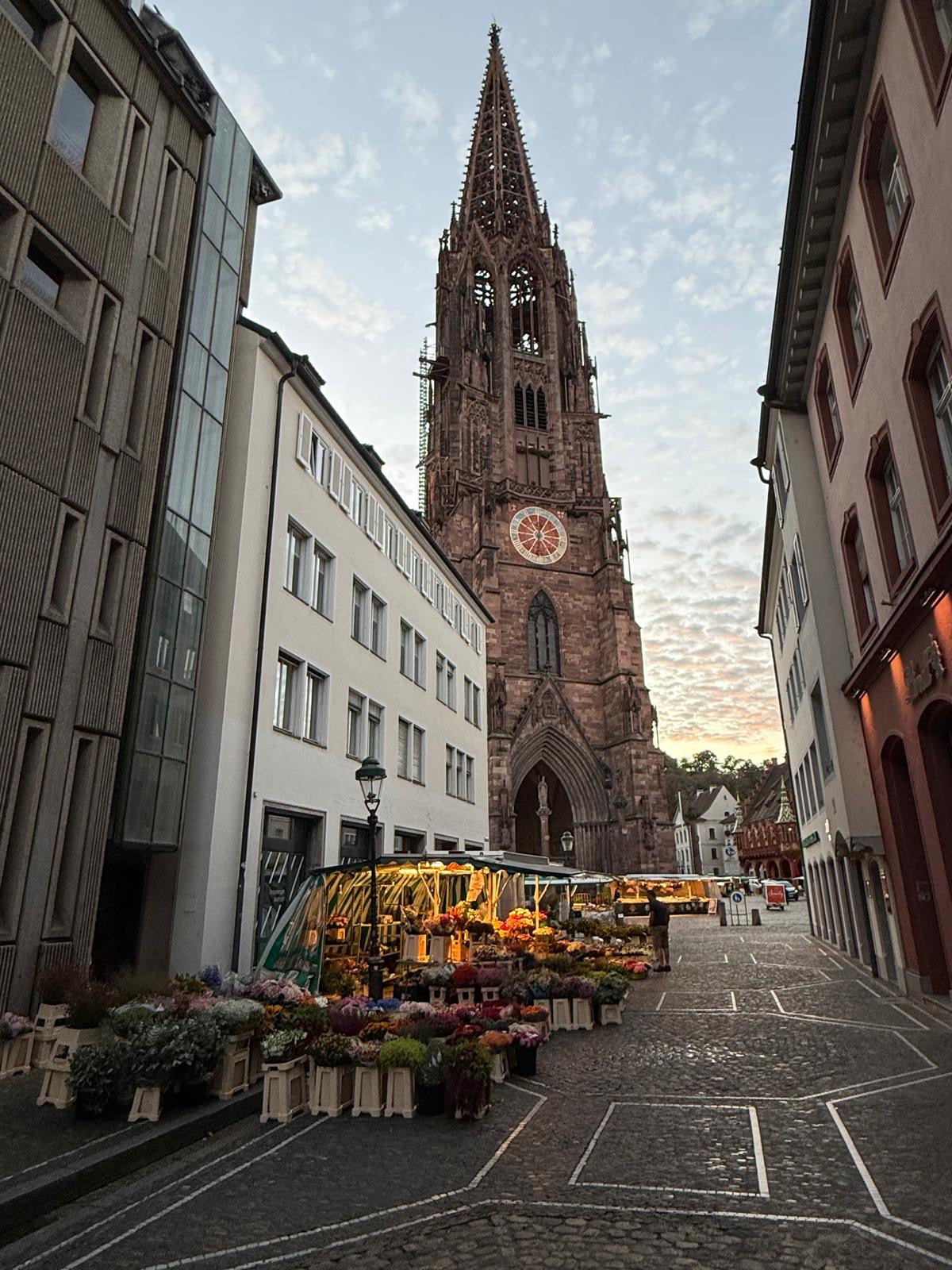Rosen Bähr Blumenstand Münstermarkt Freiburg