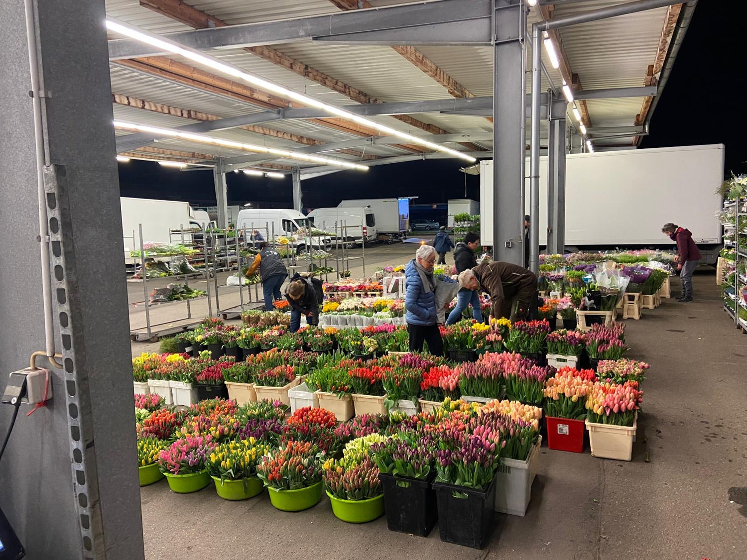 Rosen Bähr Großmarkt Freiburg